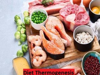 Thermogenesis